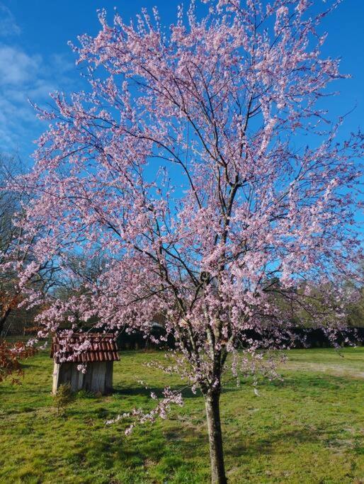 Ancienne Grange Landaise Villa Brocas ภายนอก รูปภาพ